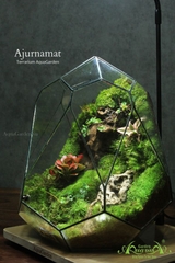 Terrarium 264 - Ajurnamat