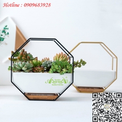 Gốm Khung Sắt Áp Tường