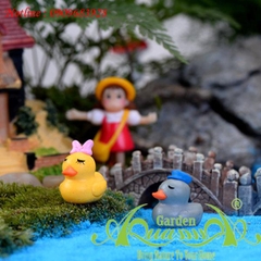 Vịt Nhắm Mắt - Phụ Kiện Aquagarden