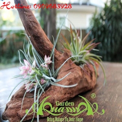 Bộ Không Khí_11