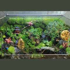 Terrarium 305 - Thuận Theo Ý Trời, Một Đời An Nhiên