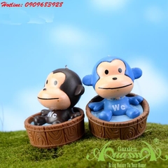 Khỉ Baby - Phụ Kiện AquaGarden