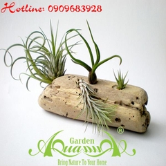 Bộ Không Khí_07