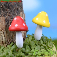 Nấm Dù - Phụ Kiện AquaGarden