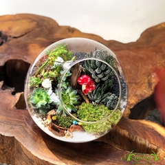 Terrarium 38 - Khu Rừng Kì Diệu