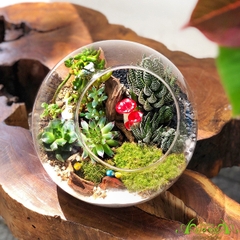 Terrarium 38 - Khu Rừng Kì Diệu