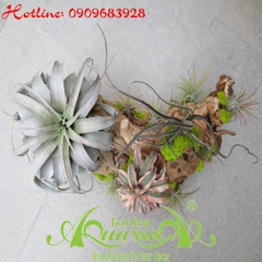 Bộ Không Khí_08