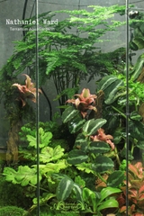 Terrarium 280 - Nathaniel Ward