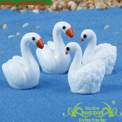 Thiên Nga - Phụ Kiện AquaGarden