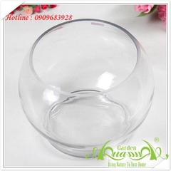 Bầu Cá Có Đế - Thủy Tinh AquaGarden