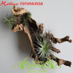 Bộ Không Khí_19