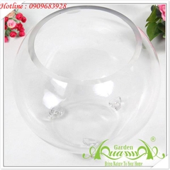 Bầu Cá  3 Chân - Thủy Tinh AquaGarden