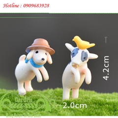 Chó Nhảy - Phụ Kiện Aquagarden