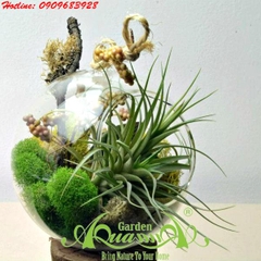 Bộ Không Khí AquaGarden_78