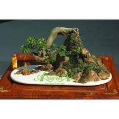Thập Toàn Thập Mỹ