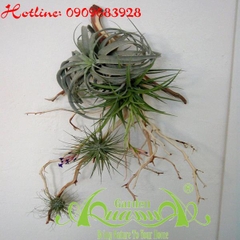 Bộ Không Khí_45