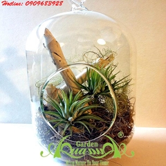 Bộ Không Khí AquaGarden_91