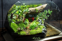 Terrarium 258 - Bình yên một sớm mai - Ô thước kiều