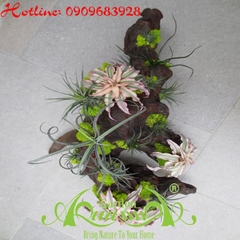 Bộ Không Khí_47