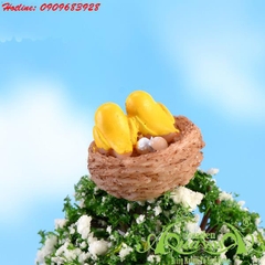 Tổ Chim - Phụ Kiện AquaGarden