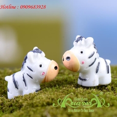 Ngựa Vằn - Phụ Kiện Aquagarden
