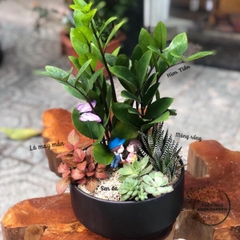 Tiểu Cảnh 14 - Lời yêu