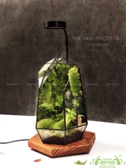 Terrarium 212 - The High Priestess