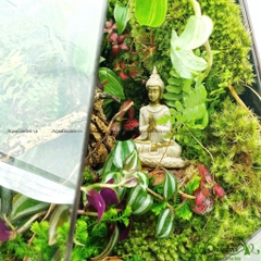 Terrarium 91 - Natural Spirit - Mindful Calling