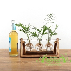 Cau Tiểu Trâm - Bộ kệ xích đu - Thủy canh Aquagarden