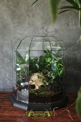 Terrarium 297 - Sementary of Love