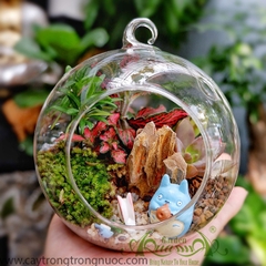 Terrarium 85 - Vạn Sự Trong Tầm Tay