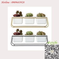 Gốm Khung Sắt Bộ 3