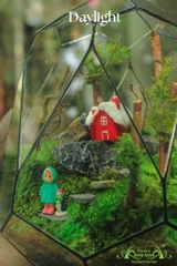 Terrarium 10 - DAYLIGHT