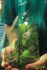 Terrarium 08 - Spring Rain