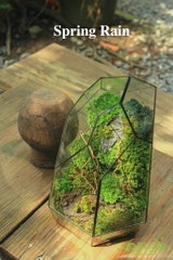 Terrarium 08 - Spring Rain