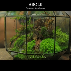 Terrarium 09 - ABOLE