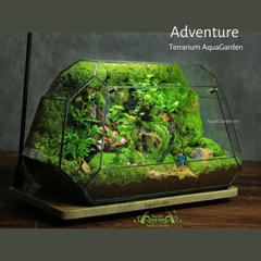 Terrarium 303 - Adventure