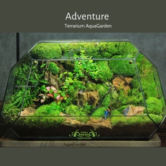 Terrarium 303 - Adventure