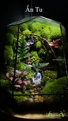 Terrarium 343 - Ẩn Tu