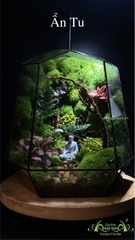 Terrarium 343 - Ẩn Tu