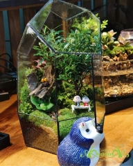 Terrarium 348 - Daisy