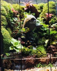 Terrarium 364 - Symphony of the Deep