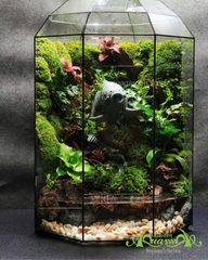 Terrarium 364 - Symphony of the Deep