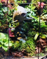 Terrarium 364 - Symphony of the Deep