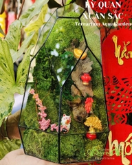 Terrarium 373 - Kỳ Quan Xuân Sắc