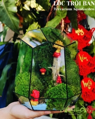 Terrarium 372 - Lộc Trời Ban