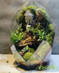 Terrarium 363 - Harmony in Reflection