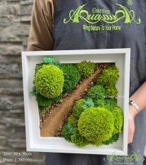 Terrarium 35 - đường làng