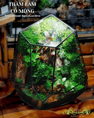 Terrarium 117 - Dream Of Nature