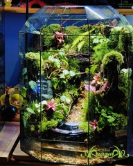 Terrarium 366 - The Hidden Glen